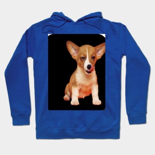 dog on the black background Hoodie